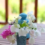 公寓式酒店 Smart Aparts